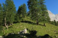 2015-07-01_2Drijaggenalm (120).JPG